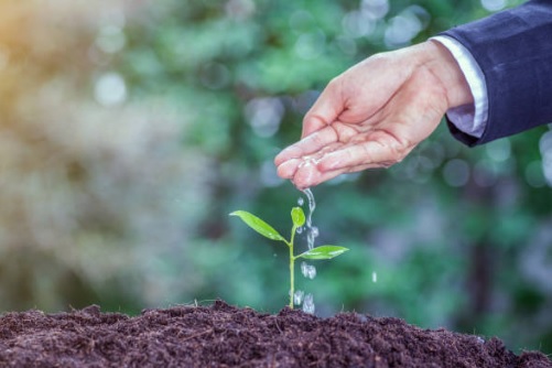 Le idee imprenditoriali più accattivanti dal 13 dicembre al 20 dicembre
